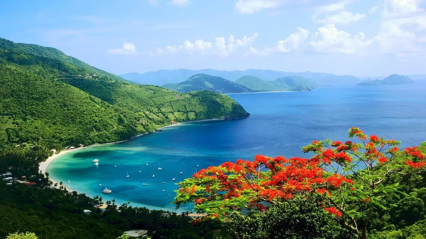 高效全自动
